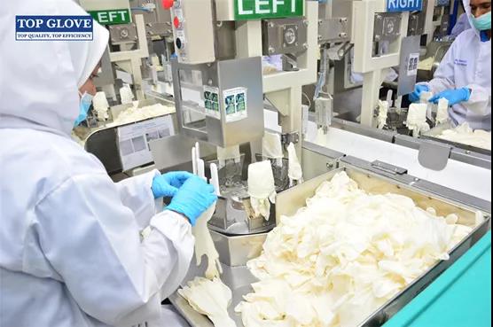 馬來西亞頂級手套獲準恢復(fù)對美出口 馬來西亞頂級手套獲準恢復(fù)對美出口