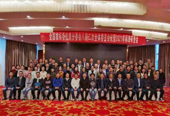 龍星化工祝賀2021全國橡標(biāo)委炭黑分委會八屆二次全體代表大會召開