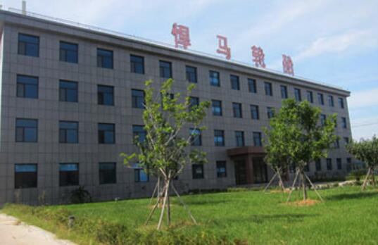 悍馬輪胎70萬條標準胎項目公示