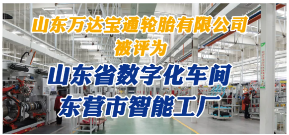 山東萬達寶通輪胎對其全年工作做了詳細總結。