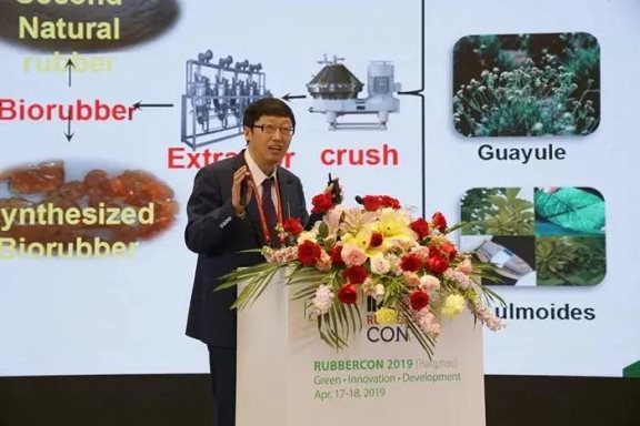 張立群老師在rubbercon國(guó)際會(huì)議上做大會(huì)報(bào)告 張立群老師在rubbercon國(guó)際會(huì)議上做大會(huì)報(bào)告