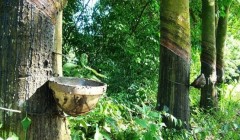 橡膠技術網：特種橡膠有哪些？