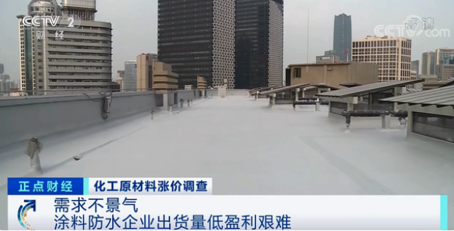 上海鋼聯百年建筑網防水材料分析師 程宇