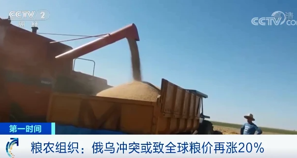 原料價格進一步推高，飼料漲價潮重現
