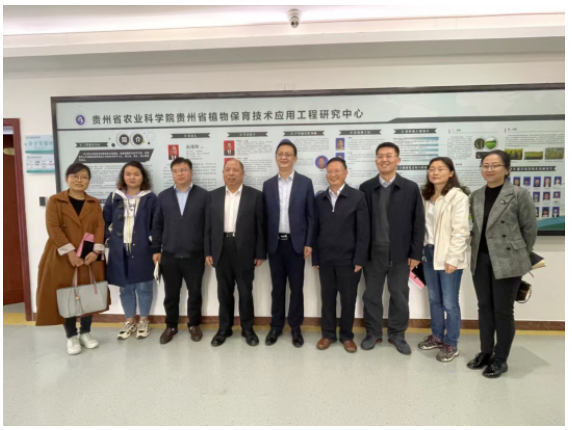 杜仲膠的低成本產業化應用提上合作日程 杜仲膠的低成本產業化應用提上合作日程