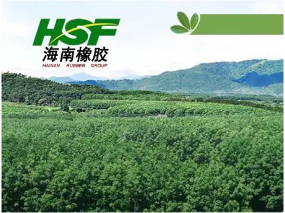 公司在不具有商業(yè)實質(zhì)的情況下進行會計處理,導(dǎo)致多期年度報告財務(wù)信息披露不真實,違反了多項規(guī)定。 公司在不具有商業(yè)實質(zhì)的情況下進行會計處理,導(dǎo)致多期年度報告財務(wù)信息披露不真實,違反了多項規(guī)定。