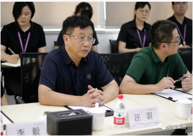 汪羽表示，安徽黑貓公司與民營企業的合作是成功的，具有可復制意義