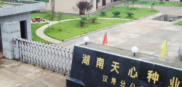 湖南天心種業(yè)股份有限公司年產(chǎn)24萬(wàn)噸生豬飼料生產(chǎn)項(xiàng)目開工