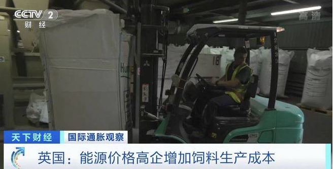 通脹加劇，英國飼料加工企業壓力巨大！雞肉價格已上漲25% 