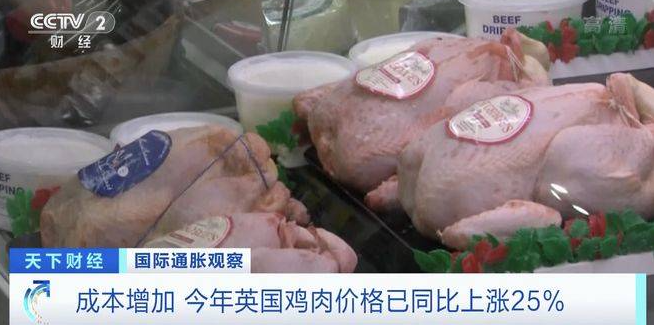 通脹加劇，英國飼料加工企業壓力巨大！雞肉價格已上漲25% 