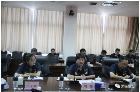 本次兩化融合管理體系貫標啟動大會的召開，標志著黑貓股份兩化融合工作開啟了新的征程