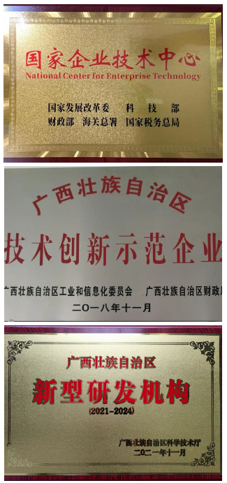 國家級專精特新“小巨人”企業 國家級專精特新“小巨人”企業