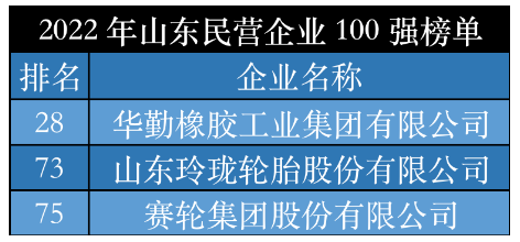 2022山東輪胎領(lǐng)軍企業(yè),震撼發(fā)布! 2022山東輪胎領(lǐng)軍企業(yè),震撼發(fā)布!