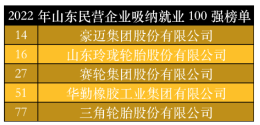 山東民營(yíng)企業(yè)吸納就業(yè)100強(qiáng)榜單中,豪邁集團(tuán)、玲瓏輪胎、賽輪集團(tuán)、華勤橡膠、三角輪胎位列其中。作為勞動(dòng)力較為密集的制造業(yè),以上5家輪胎及相關(guān)企業(yè)吸納就業(yè)數(shù)千人。 山東民營(yíng)企業(yè)吸納就業(yè)100強(qiáng)榜單中,豪邁集團(tuán)、玲瓏輪胎、賽輪集團(tuán)、華勤橡膠、三角輪胎位列其中。作為勞動(dòng)力較為密集的制造業(yè),以上5家輪胎及相關(guān)企業(yè)吸納就業(yè)數(shù)千人。
