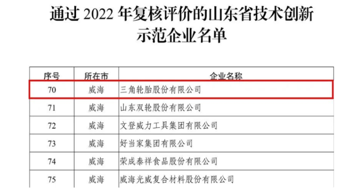三角通過技術創新示范企業復評 三角通過技術創新示范企業復評