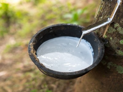 橡膠有哪些原材料？你不知道的橡膠知識