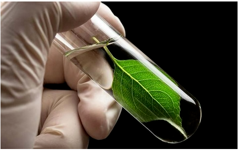 博拉表示,通過(guò)將生物基納米纖維素加入橡膠混煉膠中,提高了輪胎滾動(dòng)阻力和車輛燃油經(jīng)濟(jì)性。 博拉表示,通過(guò)將生物基納米纖維素加入橡膠混煉膠中,提高了輪胎滾動(dòng)阻力和車輛燃油經(jīng)濟(jì)性。