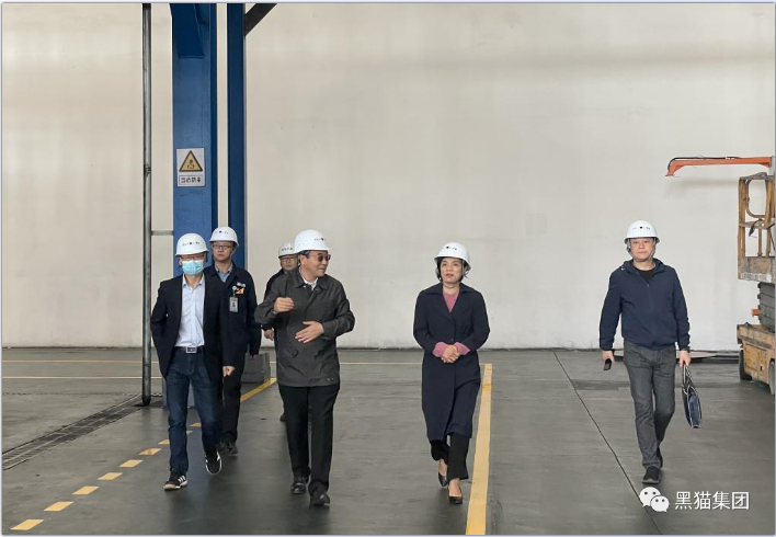余立新一行到青島黑貓研究院調研指導工作 余立新一行到青島黑貓研究院調研指導工作