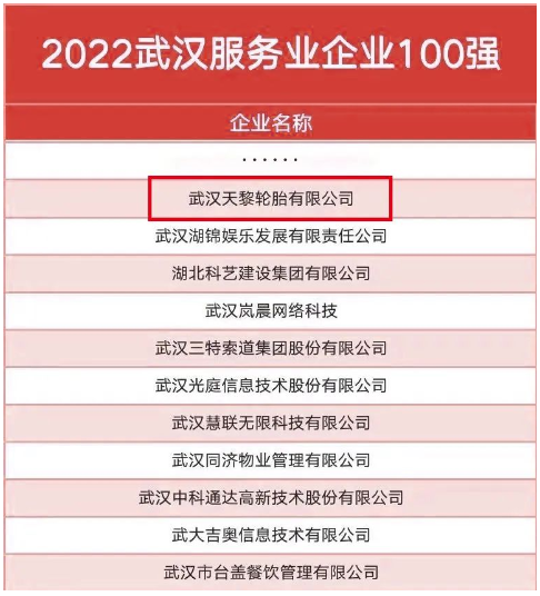武漢天黎，連續五年入選政府榜單！