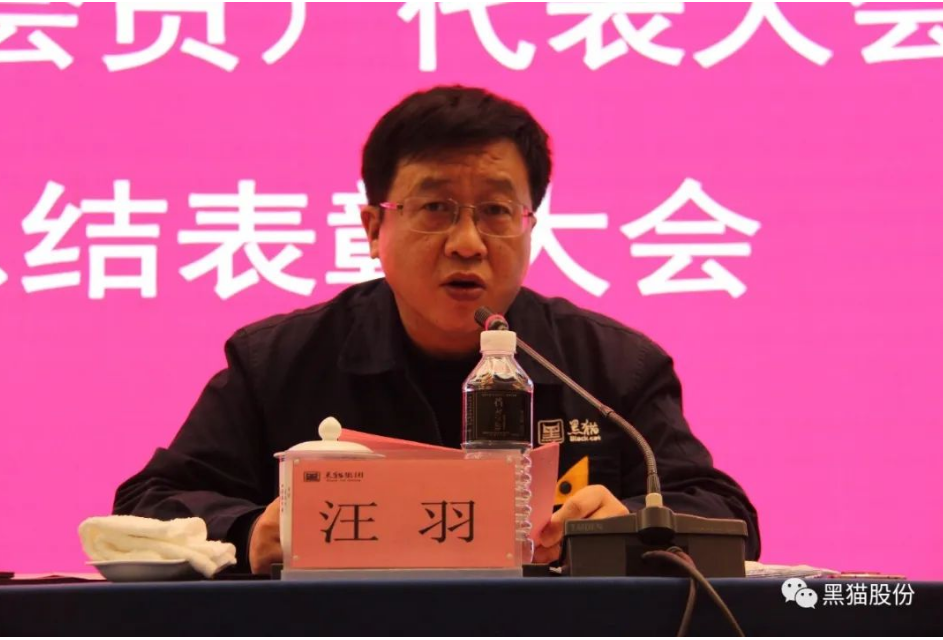 黑貓集團黨委副書記、總經理汪羽 黑貓集團黨委副書記、總經理汪羽