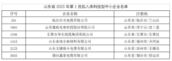 其中，東營市華東線纜集團有限公司、臨沂沂光電纜有限公司、山東鷹聯光電科技股份有限公司、山東泰瑞豐新材料有限公司、山東無棣海豐電纜有限公司、煙臺鑫泰電纜有限公司等多家電線電纜企業進入山東省2023年第1批擬入庫科技型中小企業名單。