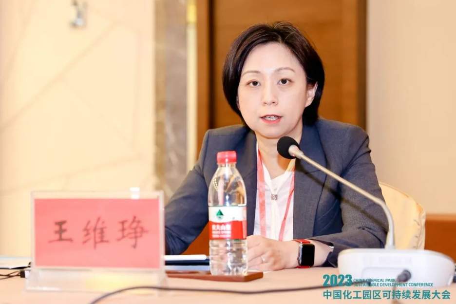 卡博特副總裁、中國區董事總經理及功能性補強材料中國區業務總監王維琤女士