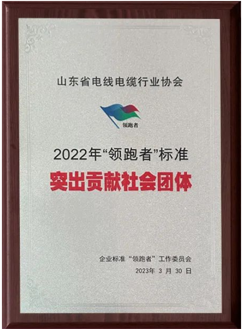 會(huì)上，山東省電線電纜行業(yè)協(xié)會(huì)獲“2022年‘領(lǐng)跑者’標(biāo)準(zhǔn)突出貢獻(xiàn)社會(huì)團(tuán)體”“2022年‘領(lǐng)跑者’榜單突出貢獻(xiàn)評估機(jī)構(gòu)”兩項(xiàng)殊榮。授牌儀式隆重舉行，這也標(biāo)志著山東省電線電纜行業(yè)協(xié)會(huì)在企業(yè)標(biāo)準(zhǔn)“領(lǐng)跑者”制度的評價(jià)工作中取得了重要成果。