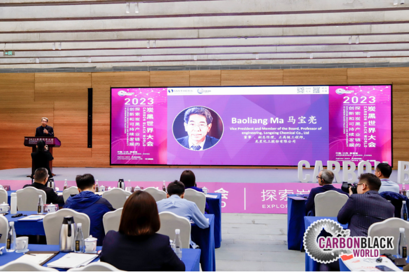 在此次會議中，龍星化工股份有限公司董事會董事、副總經理、正高級工程師馬寶亮發表了精彩演講。
