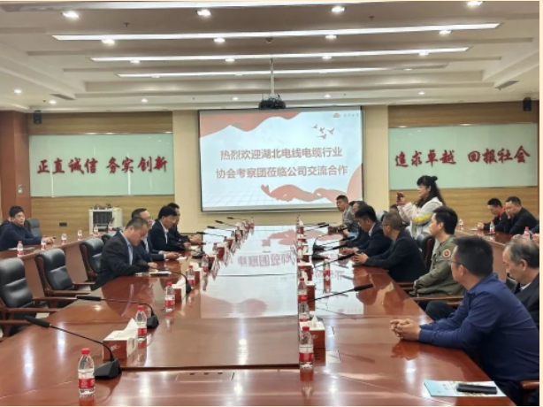 山東泰開電纜有限公司總經(jīng)理張愛華陪同下，交流團(tuán)一行人參觀了集團(tuán)展廳，詳細(xì)了解集團(tuán)的發(fā)展歷程、經(jīng)營理念、科研創(chuàng)新、核心零部件等情況，同時考察了集團(tuán)下屬高壓、電纜制造現(xiàn)場。在座談會上，雙方就技術(shù)研發(fā)、生產(chǎn)管理、質(zhì)量控制、員工獎勵等方面的問題進(jìn)行了友好互動交流。
