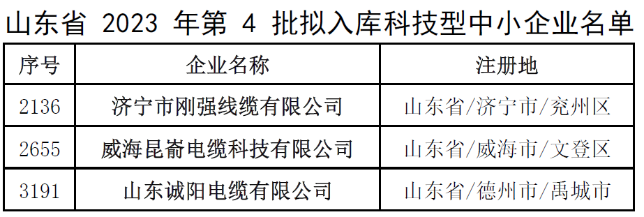 此次入庫名單的公示將為這些企業(yè)帶來更多的發(fā)展機(jī)遇和資源支持，同時(shí)也為其他科技型中小企業(yè)樹立了榜樣。