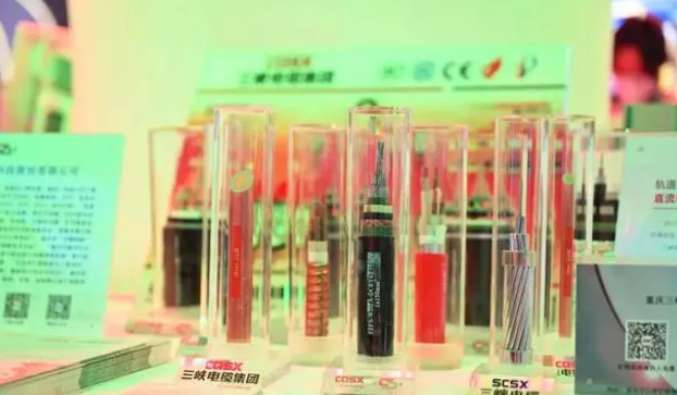 三峽電纜在展會(huì)現(xiàn)場展示了公司自主研發(fā)的一系列產(chǎn)品，其中包括重慶第一條軌道交通直流(FZ/FYS-GEA3DC)電纜、35kv軌道交通電纜以及礦物質(zhì)絕緣防火電纜(BTTZ、RTTZ、NG-A BTLY、BBTRZ)等。這些產(chǎn)品憑借其卓越的性能和質(zhì)量吸引了現(xiàn)場嘉賓和觀眾的高度關(guān)注。