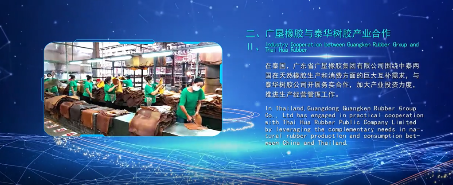 “廣墾橡膠與泰華樹膠產(chǎn)業(yè)合作”入選中國(guó)熱作產(chǎn)業(yè)十大國(guó)際合作發(fā)展案例