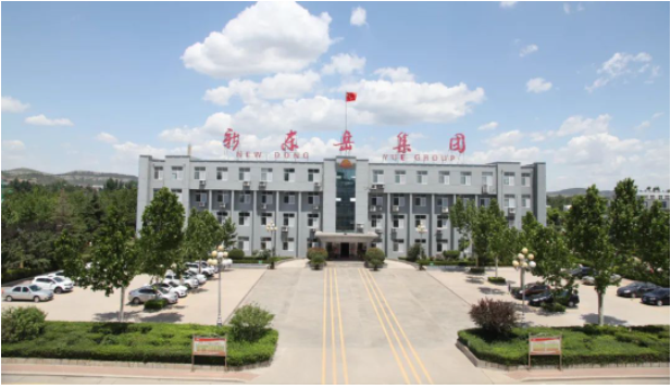 這次會議為新東岳集團公司的高級管理人員提供了一個交流和總結的平臺，以進一步推動企業的高效運營。