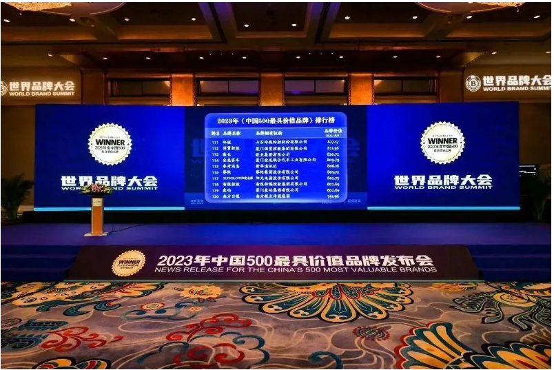 賽輪集團憑借其深厚的品牌積淀和強大的品牌成長力，逐步躋身世界級輪胎品牌的行列。未來，賽輪集團表示將繼續堅持創新研發，以"中國匠心"打造"世界品質"，不斷豐富品牌底蘊，開啟中國輪胎品牌崛起的新篇章!