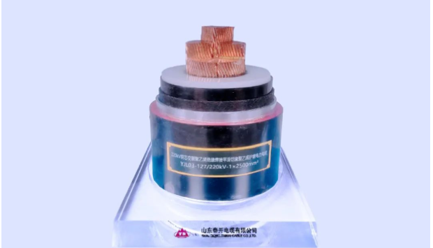 展望未來，泰開電纜表示將繼續發揮科研平臺在關鍵技術攻關、科技成果轉化、創新人才培養、產學研協同發展等方面的重要作用，力爭實現新產品、新技術、新工藝方面的再突破，助力行業和產業鏈的協同發展!