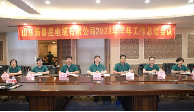 王紅梅最后強(qiáng)調(diào)信心的重要性，她鼓勵(lì)團(tuán)隊(duì)在逆境中堅(jiān)定戰(zhàn)勝困難的信心，相信魯星團(tuán)隊(duì)具備了勇于沖鋒的精神和打硬仗、打勝仗的能力，相信魯星團(tuán)隊(duì)定能戰(zhàn)勝二次創(chuàng)業(yè)道路上的一切困難。