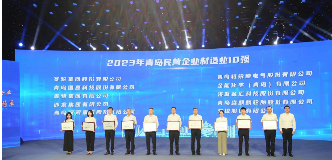 依托青島科技大學的支持，賽輪集團憑借其內在的科技創新基因脫穎而出。成立20余年來，該集團始終秉持著“做一條優質輪胎”的使命，緊緊抓住自主創新這一引擎，聯合國家橡膠與輪胎工程技術研究中心，全力攻克一系列核心技術難題。不僅成功研發出世界最大尺寸的63吋巨型工程子午胎，還發布了全球首個投入使用的橡膠工業互聯網平臺——“橡鏈云”。此外，其還運用全球首創的化學煉膠技術，成功研發出新一代輪胎產品，被譽為“液體黃金”輪胎。這一產品不僅在耐磨方面實現突破，還在節能、舒適性和制動距離等方面做出了顯著貢獻，解決了業界長期面臨的“魔鬼三角”難題。
