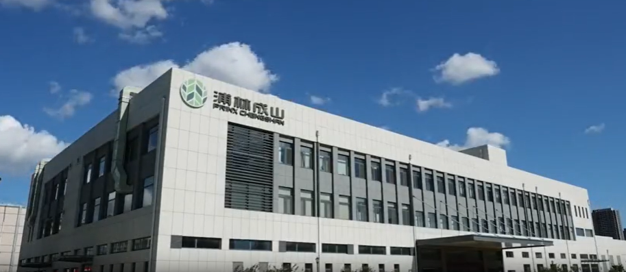 值得注意的是，這一項目的取得并非一蹴而就，而是基于浦林成山公司近年來在工業互聯網領域不斷積累的經驗。在“工廠智能化管理駕駛艙項目”中，公司通過全面收集和分析生產數據，實現了生產過程的實時預警和問題追溯，確保了輪胎產品質量的一致性。