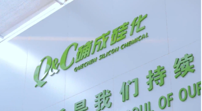 確成硅化學股份有限公司自成立至今，專注于沉淀法二氧化硅產品的研發、制造和銷售，經過20年的發展，已經成為全球主要的二氧化硅產品專業制造商之一。確成股份擁有從原材料硫酸、硅酸鈉到最終產品二氧化硅的制造產業鏈，產品主要市場聚焦在橡膠工業領域的高性能子午線綠色輪胎配套專用材料以及動物營養品領域的動物飼料載體用二氧化硅。此外，確成股份在國內外擁有多個生產基地，總產能位列世界第三位，主要客戶包括國際知名輪胎和動物營養品公司。