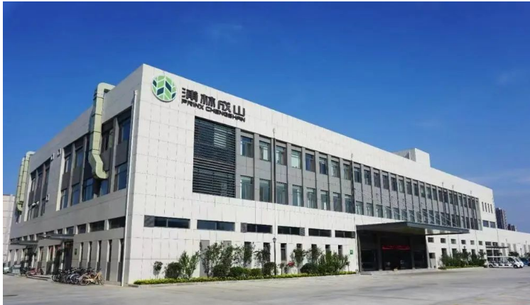 浦林成山公司發布了其半年報，披露了一系列重要計劃和成果。據報道，浦林成山將于2023年下半年啟動泰國輪胎生產基地三期項目，該項目旨在年產200萬條半鋼子午線輪胎。