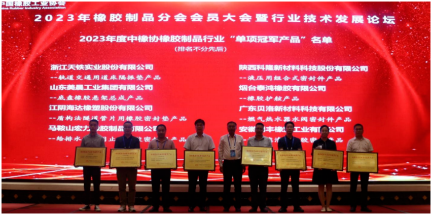 在行業(yè)技術(shù)發(fā)展論壇上，15位嘉賓在橡膠密封、軌道交通、產(chǎn)品檢測、原材料等領(lǐng)域為與會代表做了精彩的報告。
