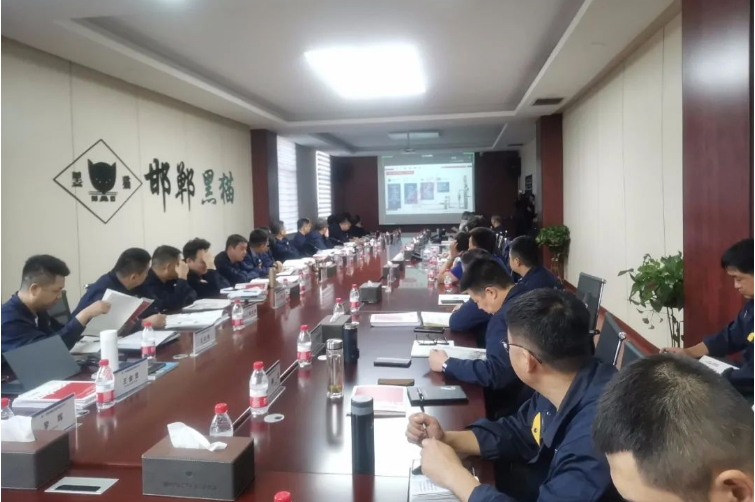 在交流培訓會上，德固特詳細介紹了他們的高溫空氣預熱器、急冷鍋爐、余熱鍋爐、吹灰器、轉筒干燥機、造粒機等主要設備，并分享了撬裝式炭黑節能生產線、模塊化尾氣余熱回收系統、間接換熱干燥系統急節能型火箱等新技術。會后，德固特的負責人為參會者提供了各種設備的安裝、使用、維護和檢修要點，以便于各基地今后規范操作和設備的使用。