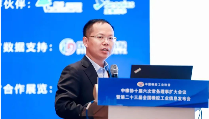 中國橡膠工業協會副會長兼秘書長雷昌純作了“橡膠工業經濟運行情況分析和協會重點工作及展望”的報告。以詳實的數據，對1～8月份國家統計局數據，以及橡膠行業主要經濟運行指標進行了分析，對橡膠行業專利申請情況進行了匯總分析，介紹了橡膠行業開展的重點工作的進展，并作了展望。