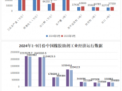 2024年9月份橡膠助劑統(tǒng)計(jì)數(shù)據(jù)分析