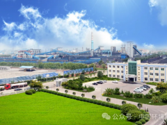 黑貓股份：踐行綠色理念，樹立炭黑標桿