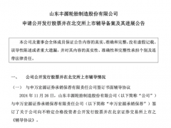 豐源輪胎擬沖擊北交所上市，股東棗莊國(guó)企近3億股權(quán)遭凍結(jié)