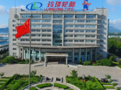 玲瓏集團總裁王琳詳述：企業如何應對全球挑戰與機遇