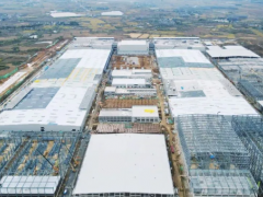 安徽佳通輪胎新廠建設(shè)加速，高性能輪胎生產(chǎn)指日可待