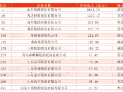 2024山東500強，輪胎企業大放異彩！