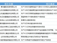 多個橡膠輪胎項目入選山東省2025年重大項目名單